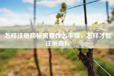 怎样注册商标需要什么手续，怎样才能注册商标