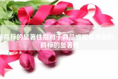 商标的显著性指对于商品或服务来源的，商标的显著性