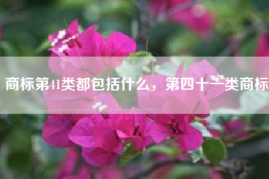 商标第41类都包括什么，第四十一类商标
