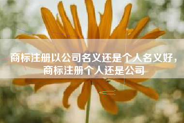 商标注册以公司名义还是个人名义好，商标注册个人还是公司