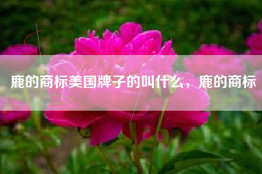 鹿的商标美国牌子的叫什么，鹿的商标