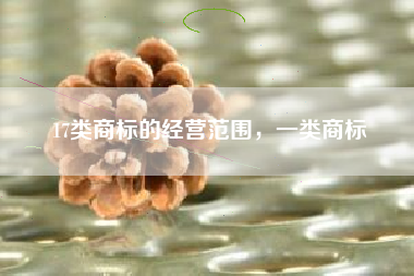 17类商标的经营范围，一类商标