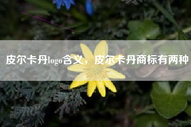 皮尔卡丹logo含义，皮尔卡丹商标有两种