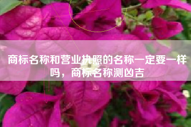 商标名称和营业执照的名称一定要一样吗，商标名称测凶吉