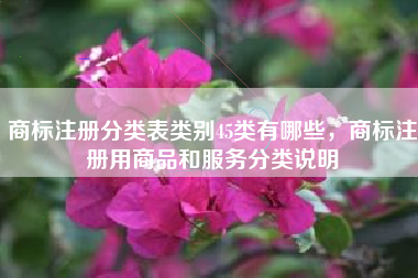 商标注册分类表类别45类有哪些,商标注册用商品和服务分类说明 商标注册分类表类别45类有哪些,商标注册用商品和服务分类说明