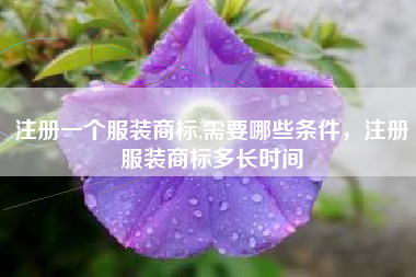 注册一个服装商标,需要哪些条件，注册服装商标多长时间