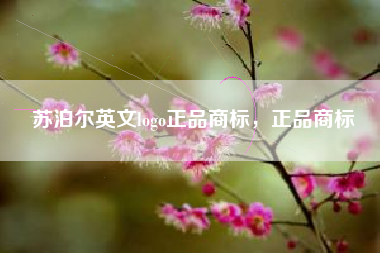 苏泊尔英文logo正品商标，正品商标