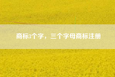 商标3个字，三个字母商标注册