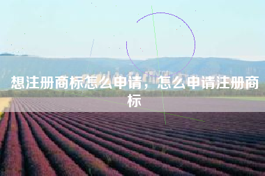想注册商标怎么申请，怎么申请注册商标