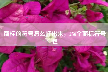 商标的符号怎么打出来,256个商标符号包 商标的符号怎么打出来,256个商标符号包