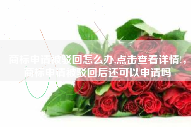 商标申请被驳回怎么办,点击查看详情!，商标申请被驳回后还可以申请吗