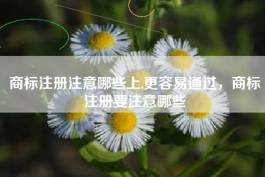商标注册注意哪些上,更容易通过，商标注册要注意哪些