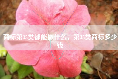 商标第35类都能做什么，第35类商标多少钱