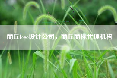 商丘logo设计公司，商丘商标代理机构