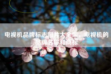 电视机品牌标志图片大全集，电视机的品牌名称和商标