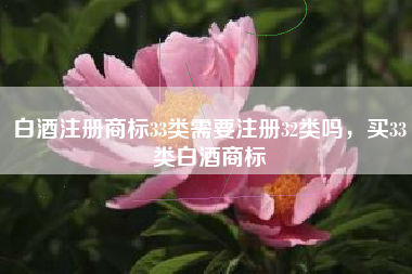 白酒注册商标33类需要注册32类吗,买33类白酒商标 白酒注册商标33类需要注册32类吗,买33类白酒商标