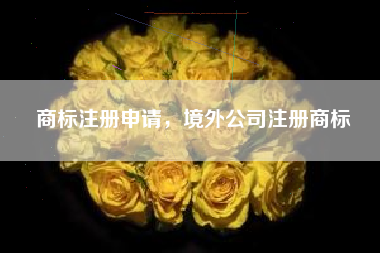 商标注册申请，境外公司注册商标