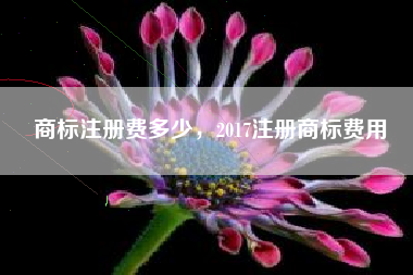 商标注册费多少，2017注册商标费用