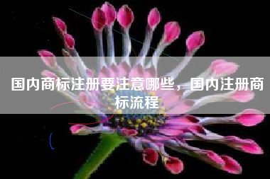 国内商标注册要注意哪些，国内注册商标流程