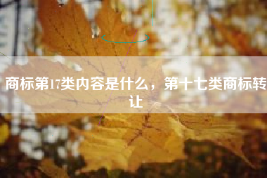 商标第17类内容是什么，第十七类商标转让