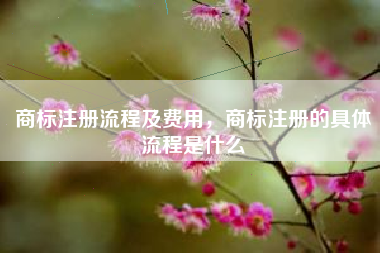 商标注册流程及费用，商标注册的具体流程是什么