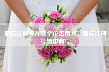 商标注册号在哪个位置图片，商标注册号与申请号