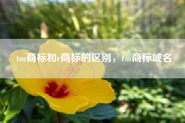 tm商标和r商标的区别，tm商标域名