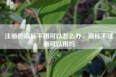 注册的商标不用可以怎么办,商标不注册可以用吗 注册的商标不用可以怎么办,商标不注册可以用吗