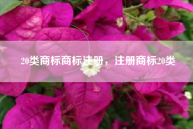 20类商标商标注册，注册商标20类