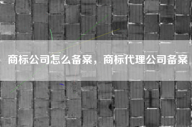 商标公司怎么备案，商标代理公司备案