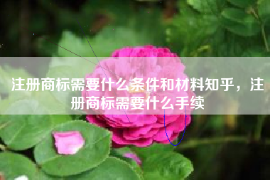 注册商标需要什么条件和材料知乎,注册商标需要什么手续 注册商标需要什么条件和材料知乎,注册商标需要什么手续