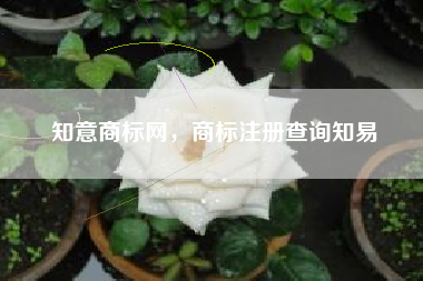 知意商标网，商标注册查询知易