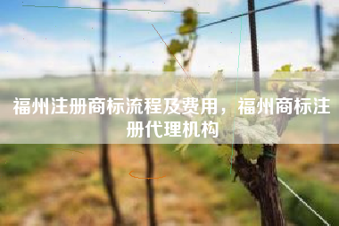 福州注册商标流程及费用，福州商标注册代理机构