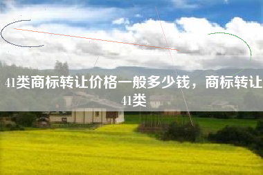 41类商标转让价格一般多少钱，商标转让41类