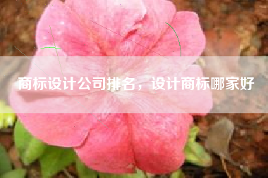 商标设计公司排名，设计商标哪家好