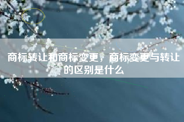 商标转让和商标变更，商标变更与转让的区别是什么