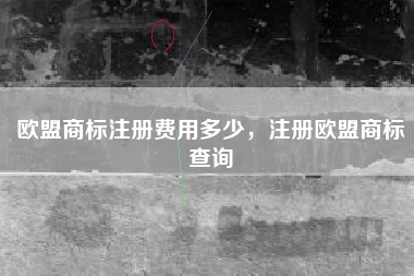欧盟商标注册费用多少，注册欧盟商标查询