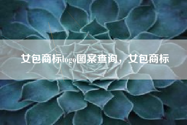 女包商标logo图案查询，女包商标