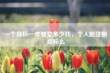 一个商标一年要交多少钱，个人能注册商标么