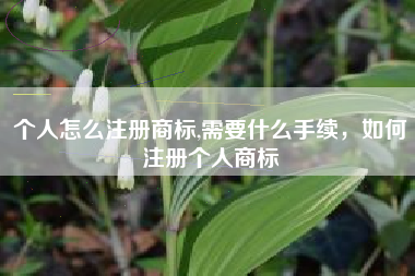 个人怎么注册商标,需要什么手续，如何注册个人商标