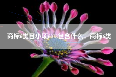 商标6类目小项6013包含什么，商标6类