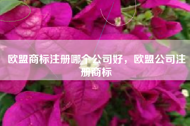 欧盟商标注册哪个公司好，欧盟公司注册商标