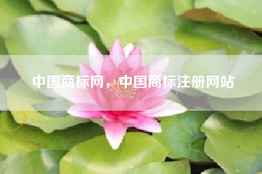 中国商标网，中国商标注册网站