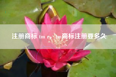 注册商标 tm r,tm商标注册要多久 注册商标 tm r,tm商标注册要多久
