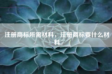 注册商标所需材料，注册商标要什么材料
