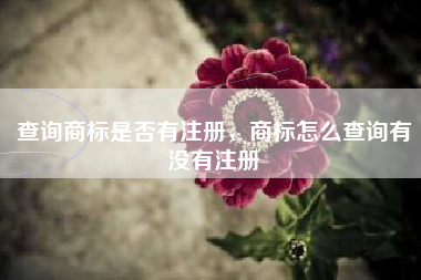 查询商标是否有注册，商标怎么查询有没有注册