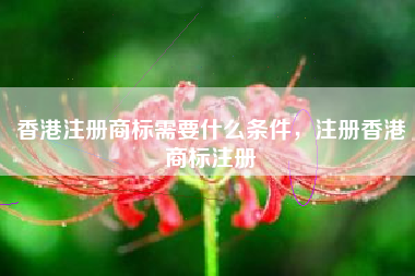 香港注册商标需要什么条件，注册香港商标注册