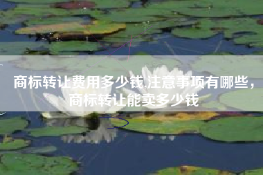 商标转让费用多少钱,注意事项有哪些，商标转让能卖多少钱