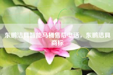 东鹏洁具智能马桶售后电话，东鹏洁具商标