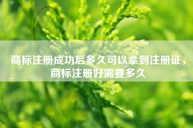 商标注册成功后多久可以拿到注册证，商标注册好需要多久